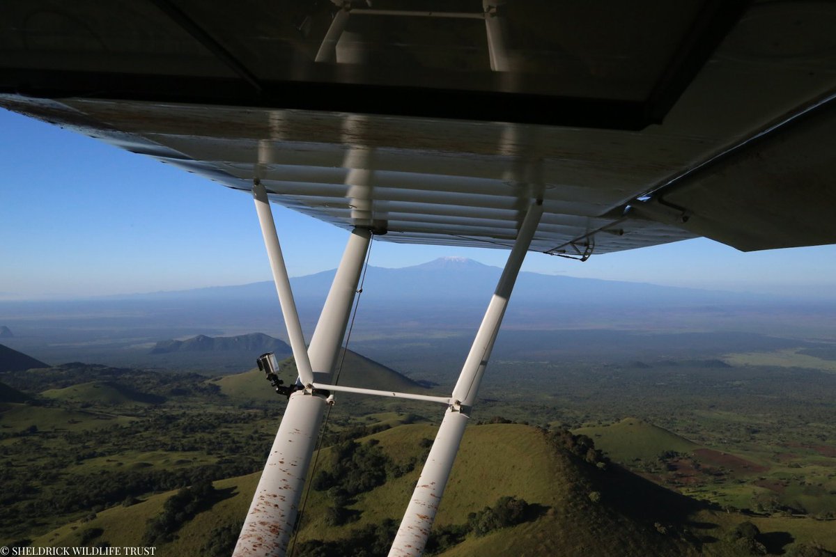 Sheldrick Wildlife Trust tweet media
