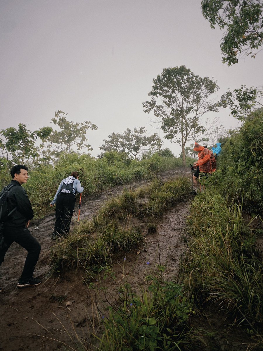 Mendaki bukit di penghujung musim hujan.