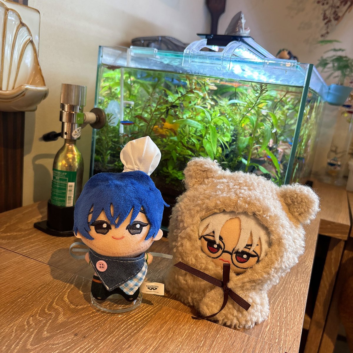 文鳥さんちのりかぬくん tweet media