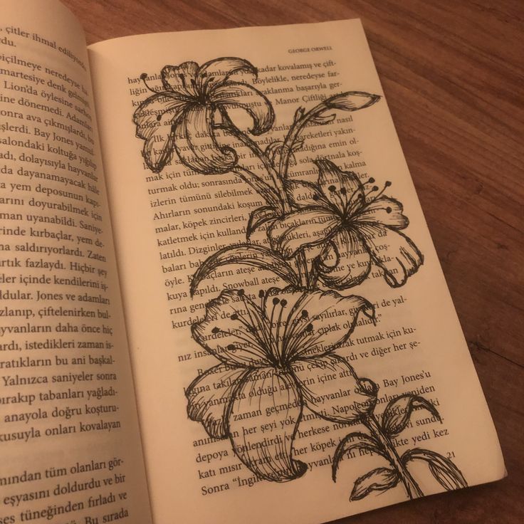 Nooni (@chaarpaai) on Twitter photo 