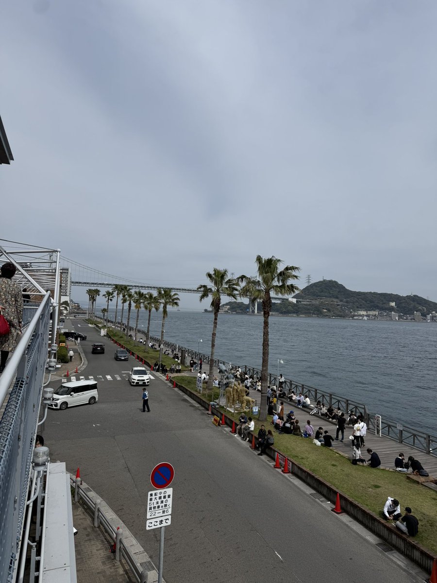 蘂+81 tweet media