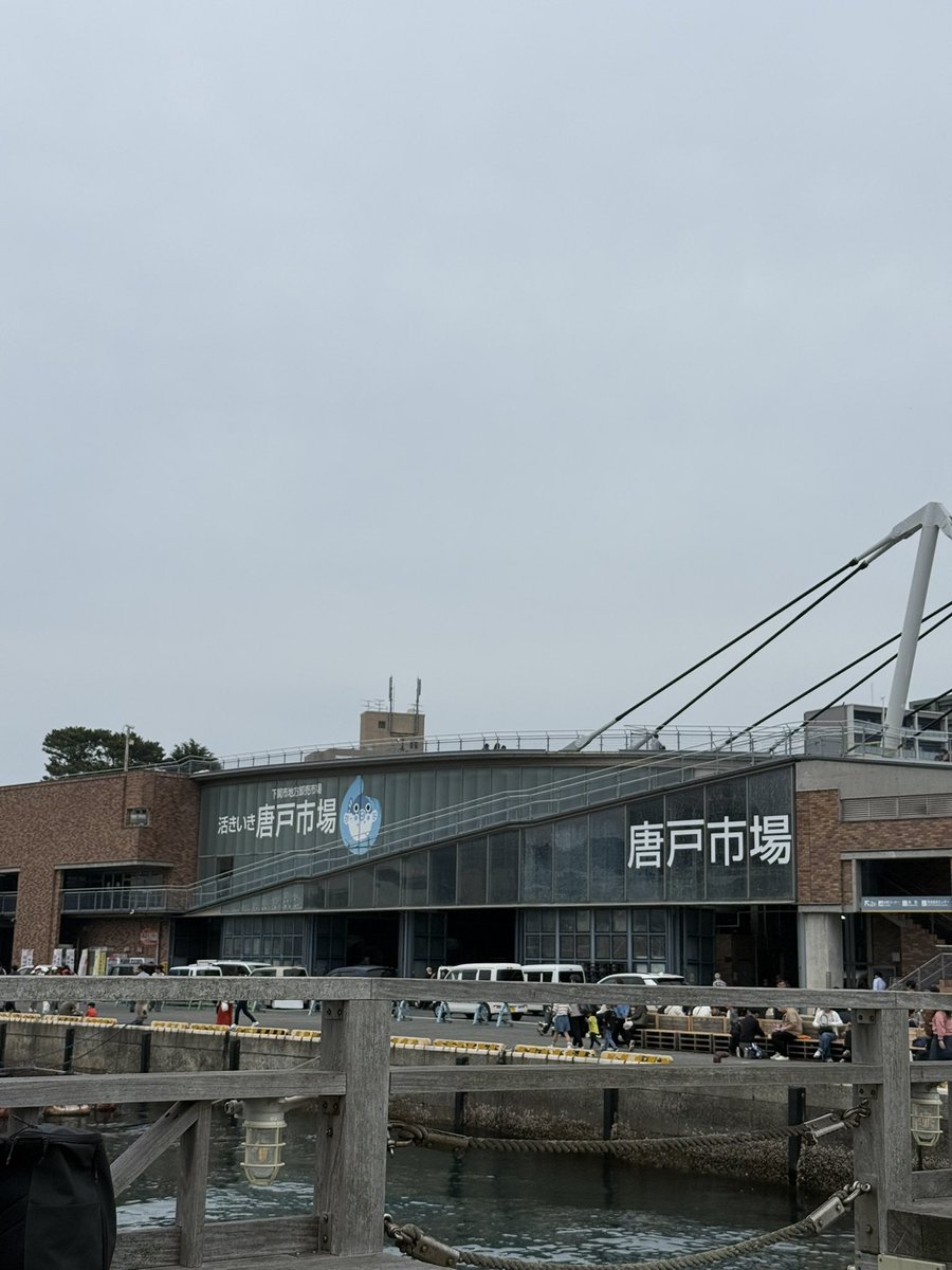 蘂+81 tweet media