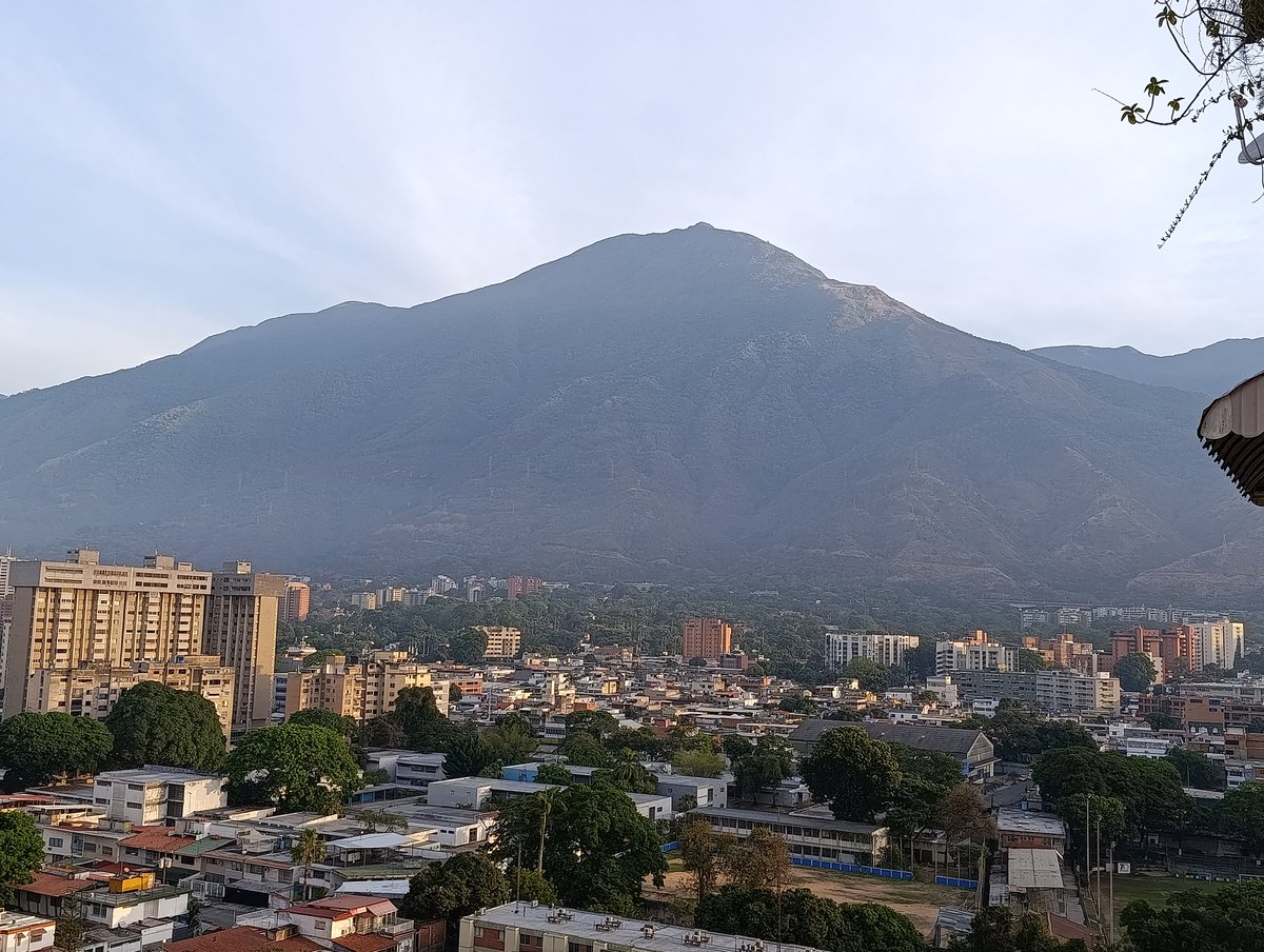 Jose Grasso tweet media