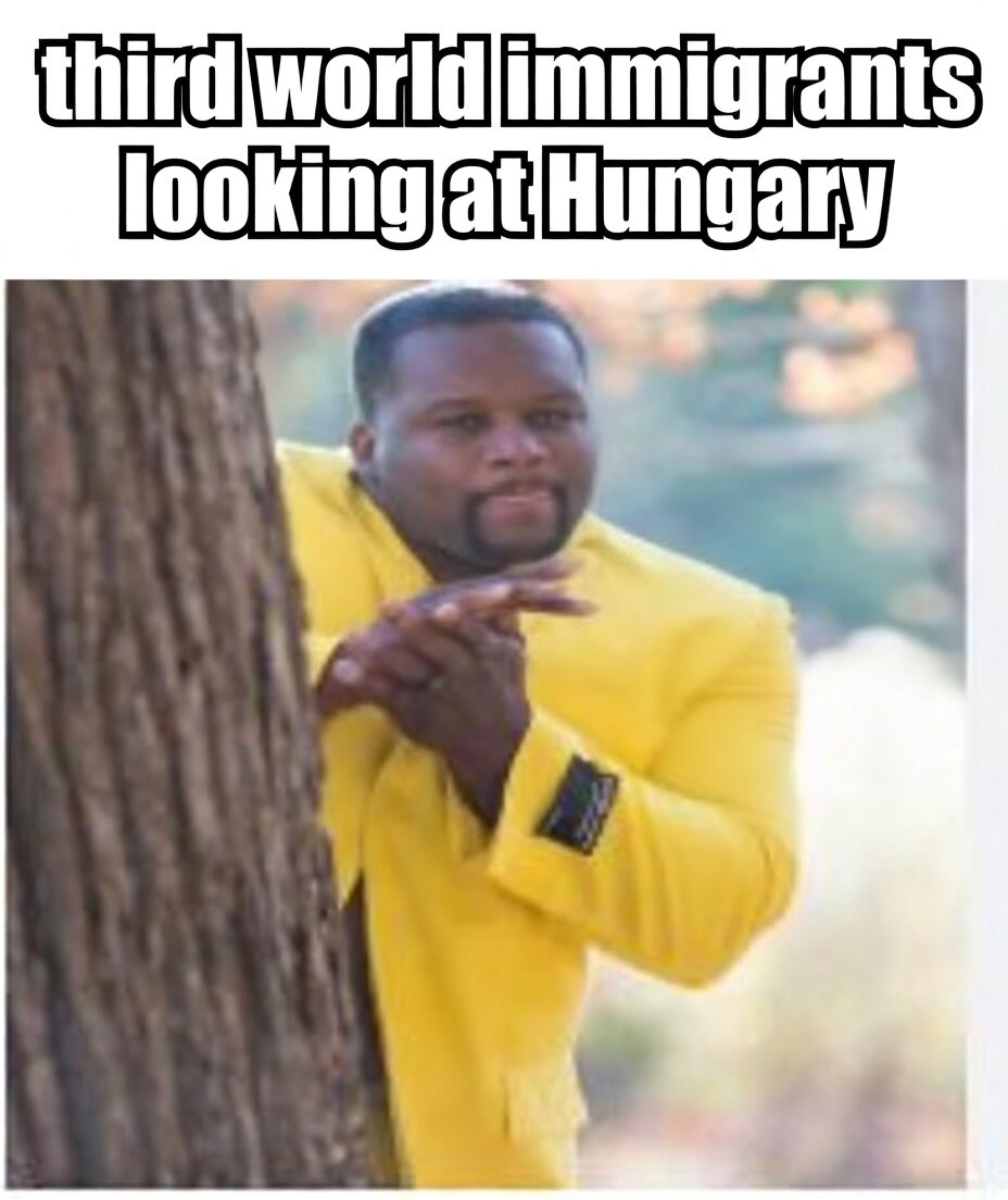 Rocco Strydom 🤜🔥 tweet media