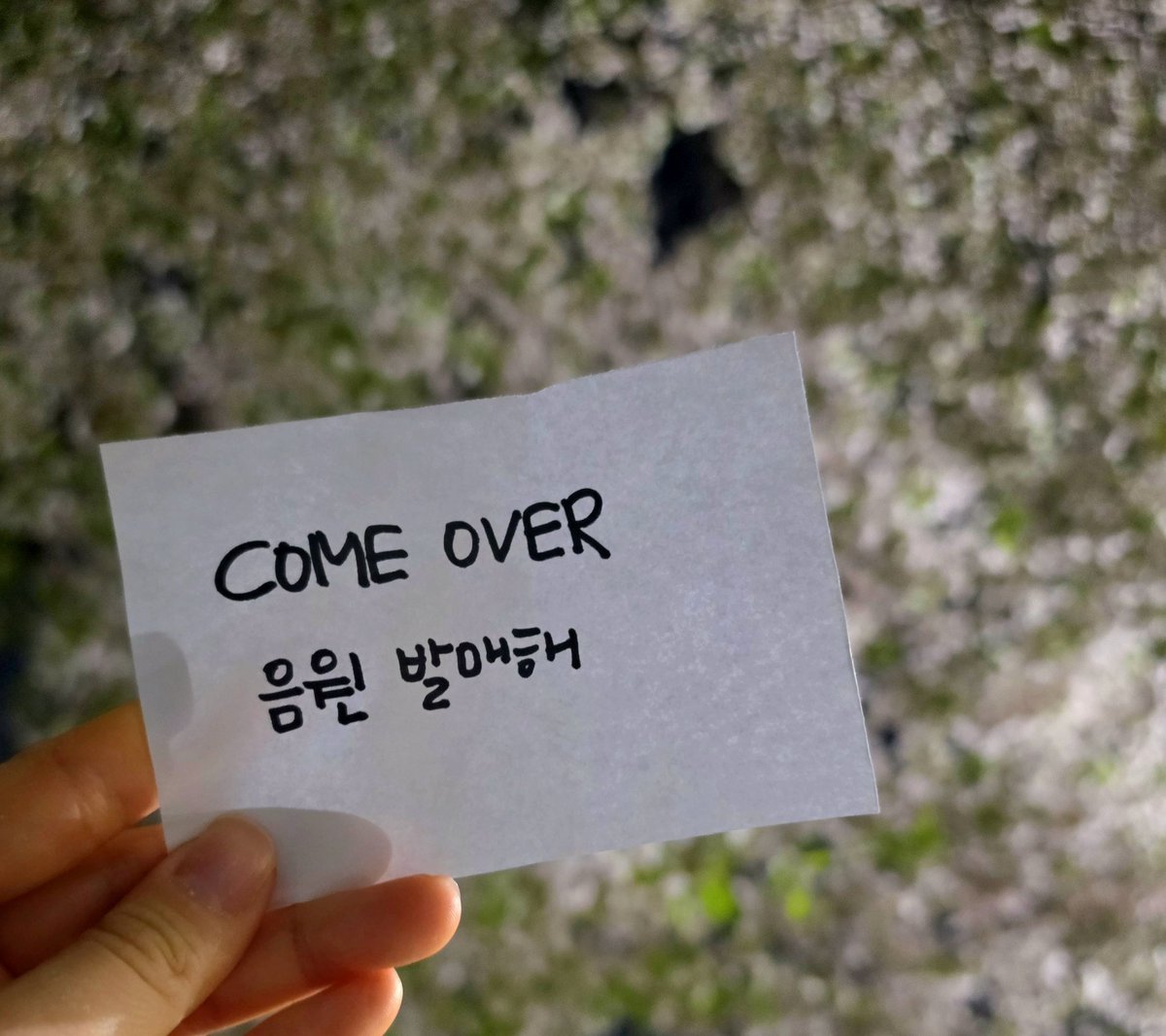 베베(💕✊️🐱✊️💕) tweet media