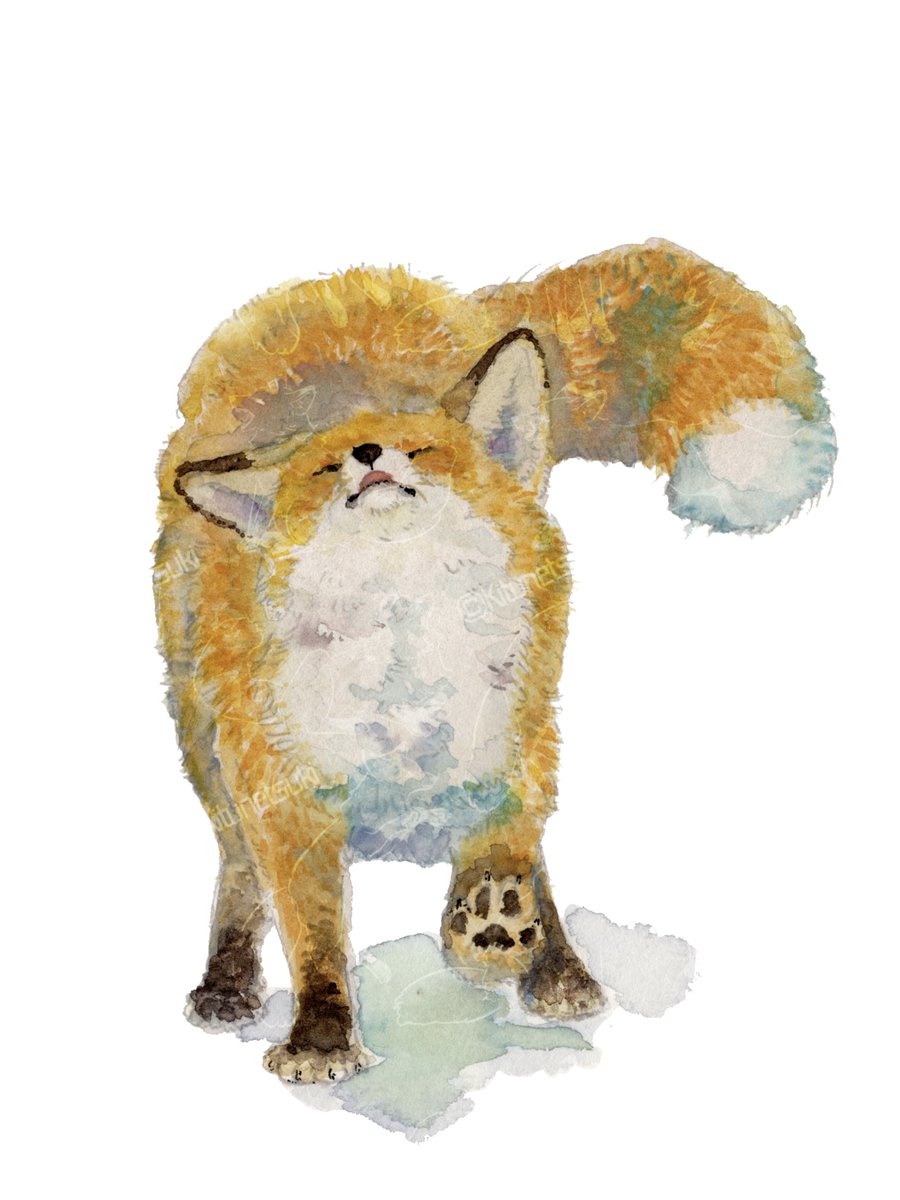 キツネ月🦊もふもふしっぽのきつね達展（4/18〜20）大阪梅田・関西けもケット（4/19）インテ tweet media
