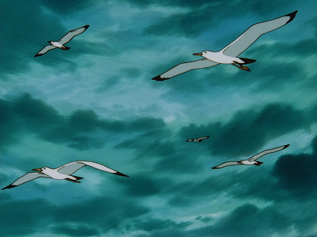 بُـ ريدة tweet media