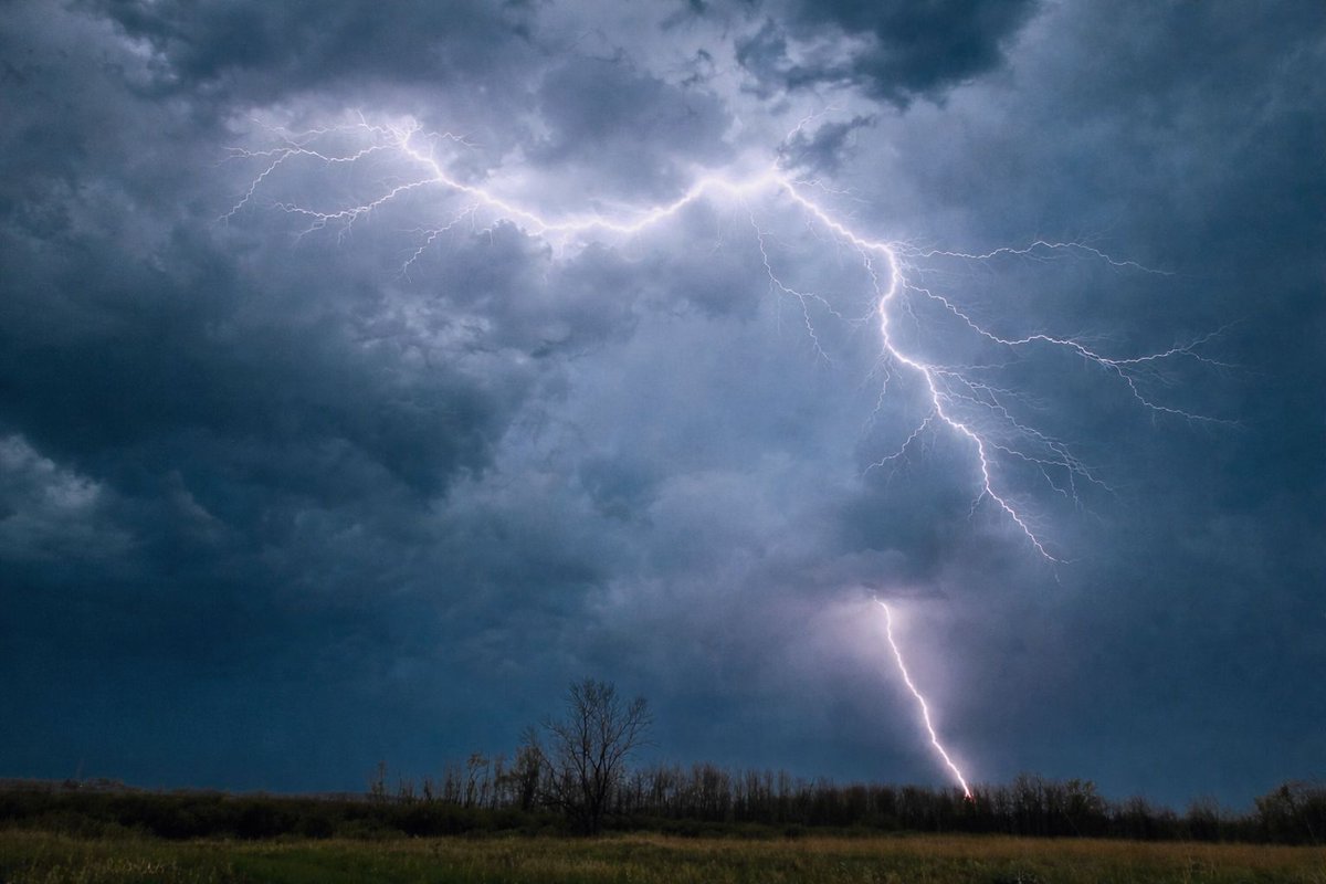 Brooke Brighton tweet media