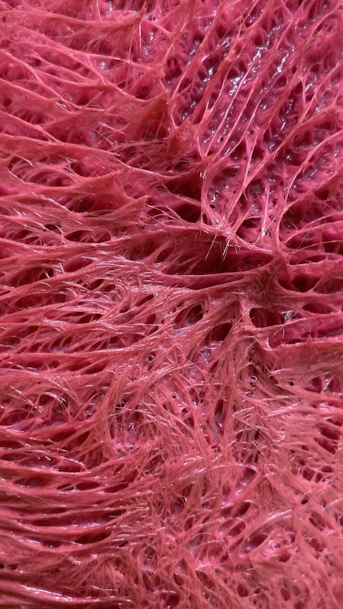 Alfred 🏄🏻‍♀️🌊 tweet media