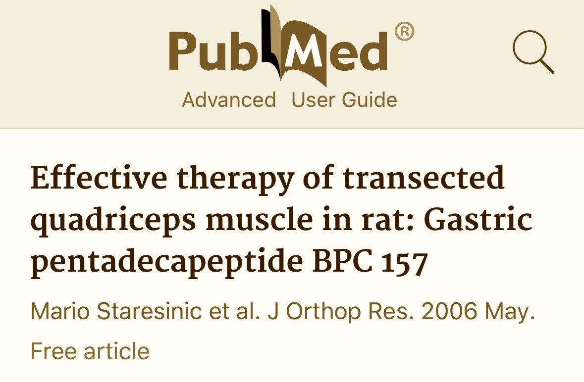 Alfred 🏄🏻‍♀️🌊 tweet media