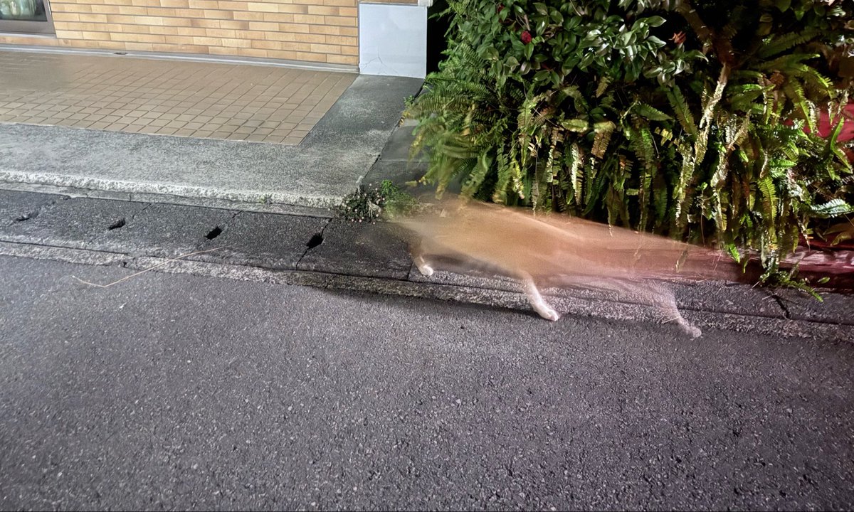 たけだこうじ tweet media