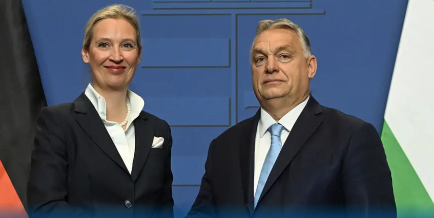 Dr. Michael Schaaf tweet media