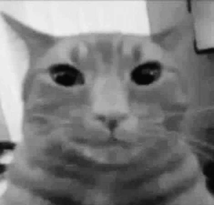 🐉Marcucho🐉(NILD JUEGA AMPHOREUS) tweet media