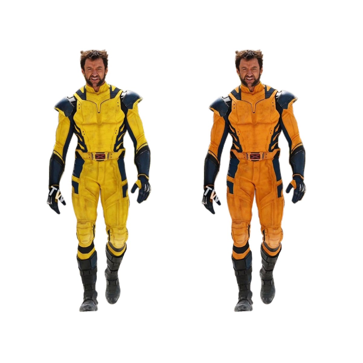 Jaiden 🏳️⚧️💖 tweet media