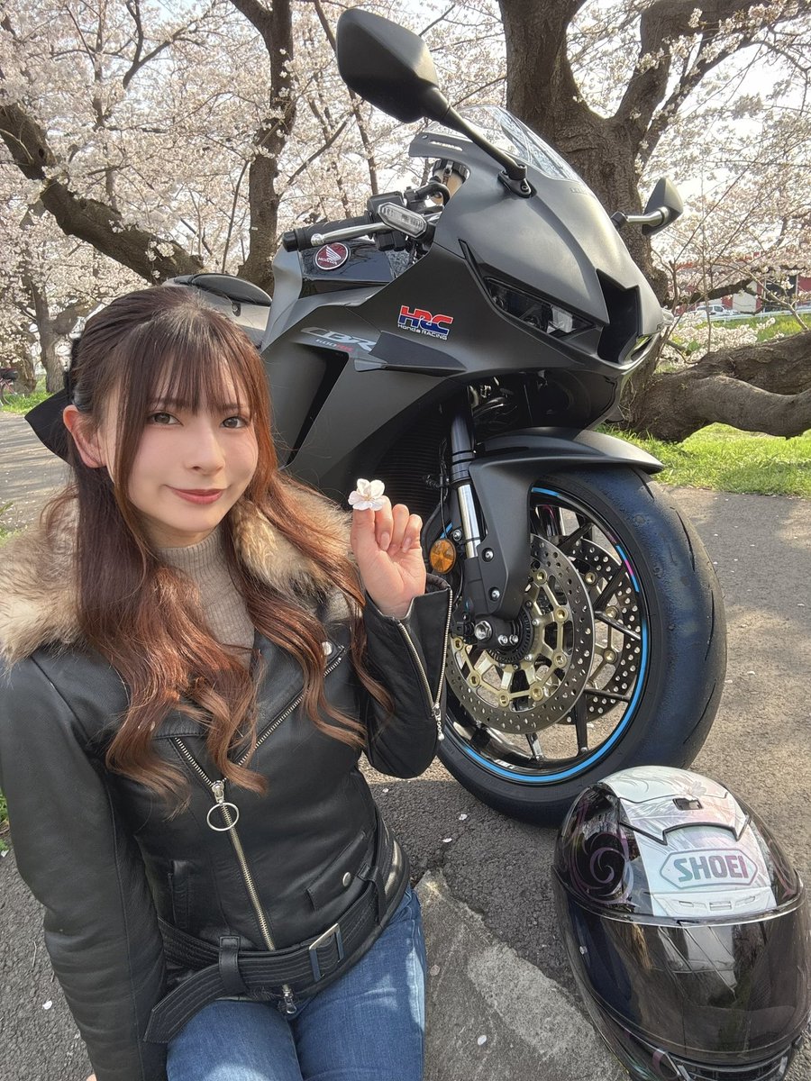 miumiu0055's tweet photo. 桜とバイク…きゅんすぎる。 https://t.co/S8uq0cyyEx