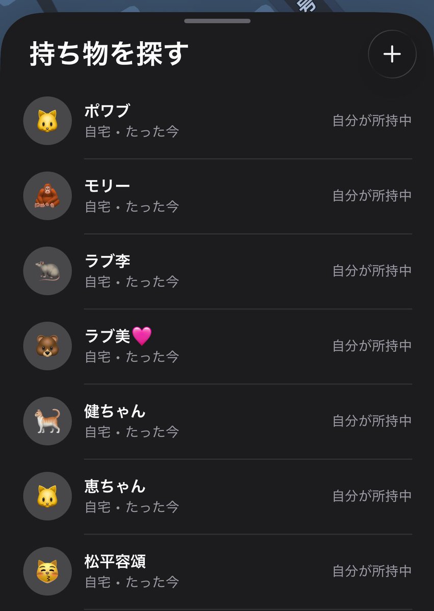 avy_nylon's tweet image. じいちゃんにもAirTag装着！
マイクロチップ登録もしてひと段落。