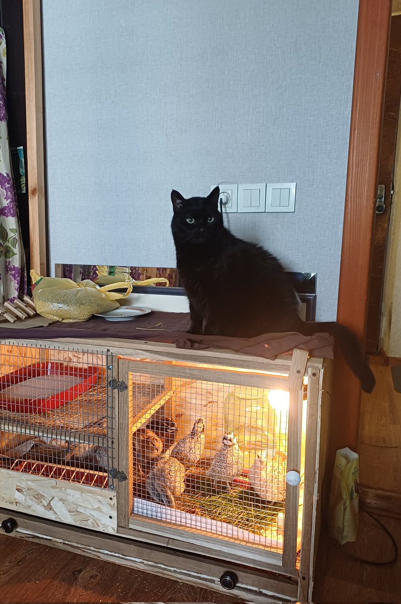 пані Миша 🐭💙💛 tweet media