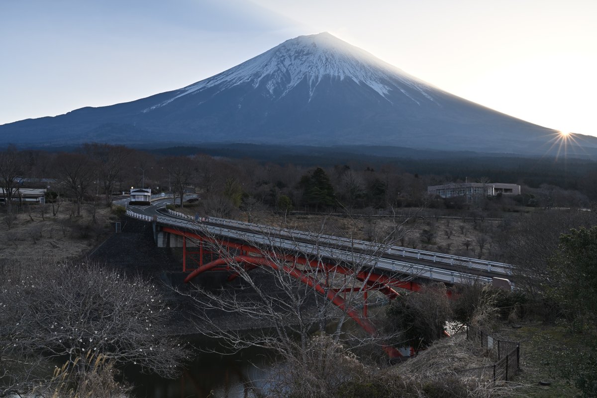 撮り富士 tweet media