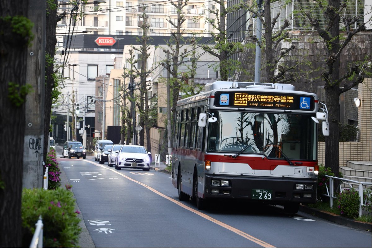 名前をつ❶❼浪@受験終了済 tweet media