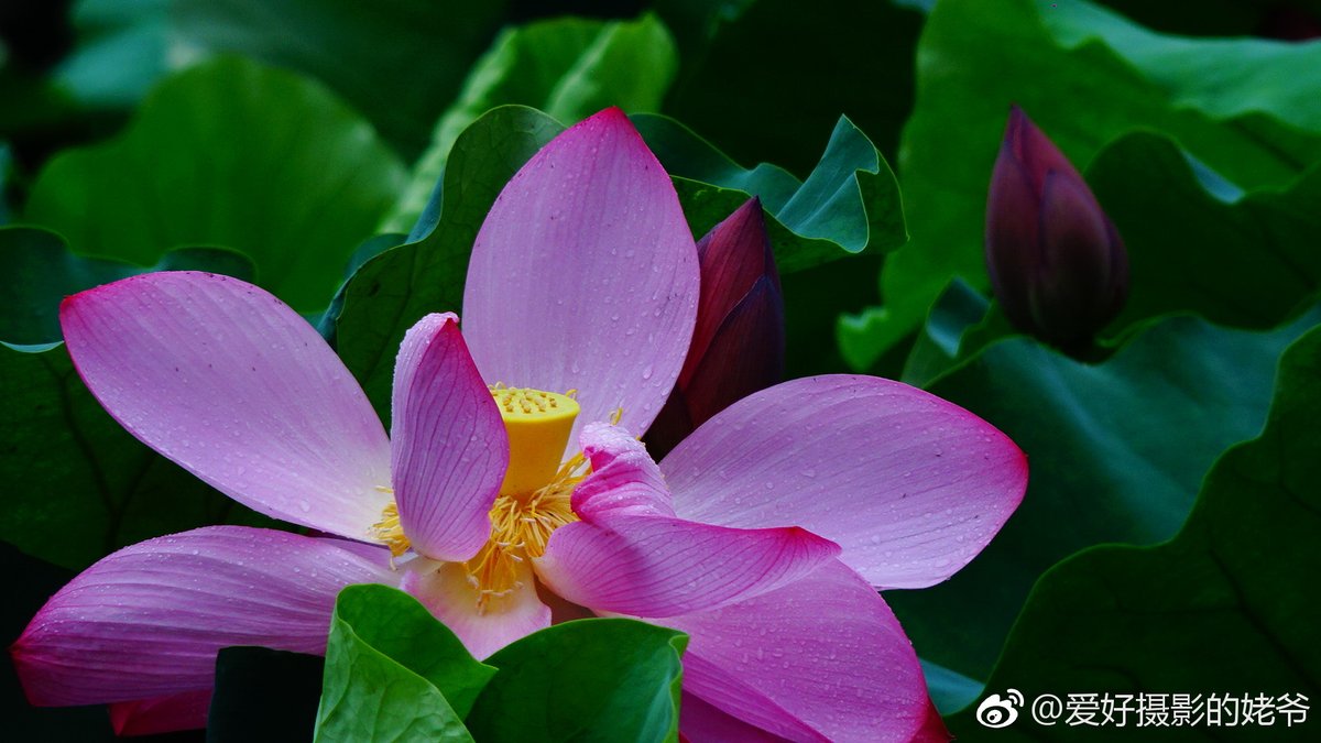 Anna Stowe tweet media