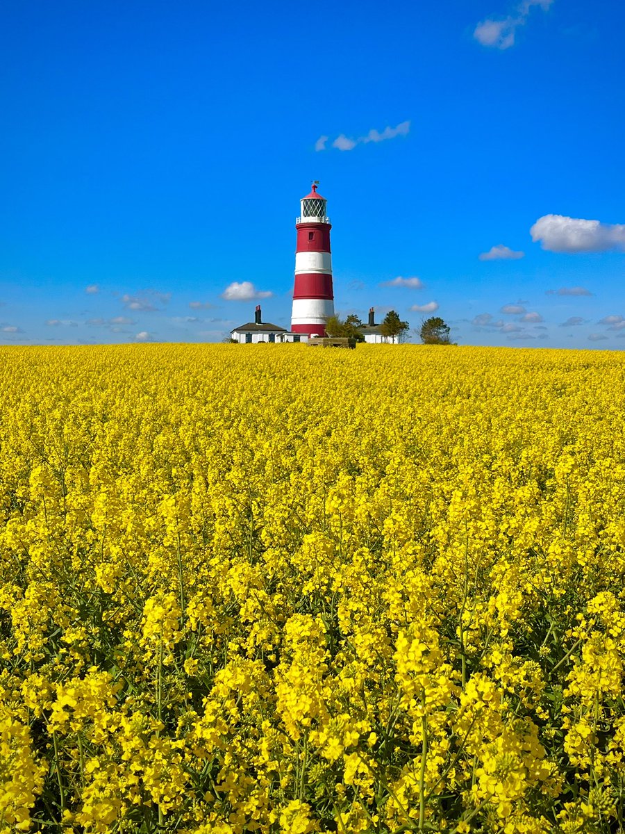 WalkingTractor tweet media