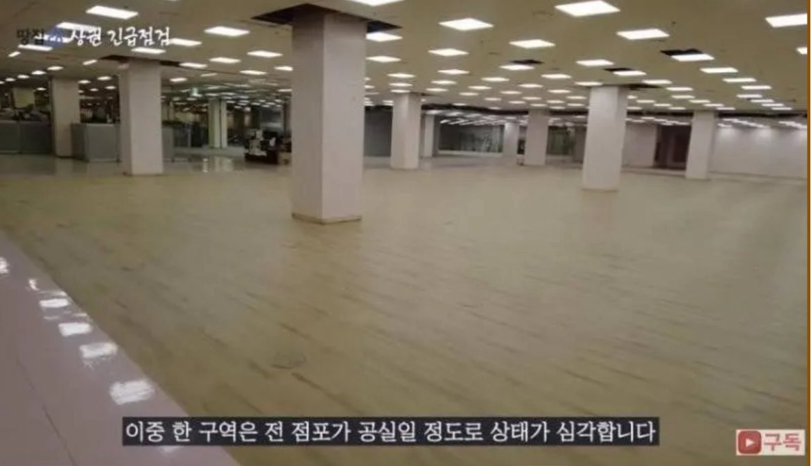 노다메진 tweet media