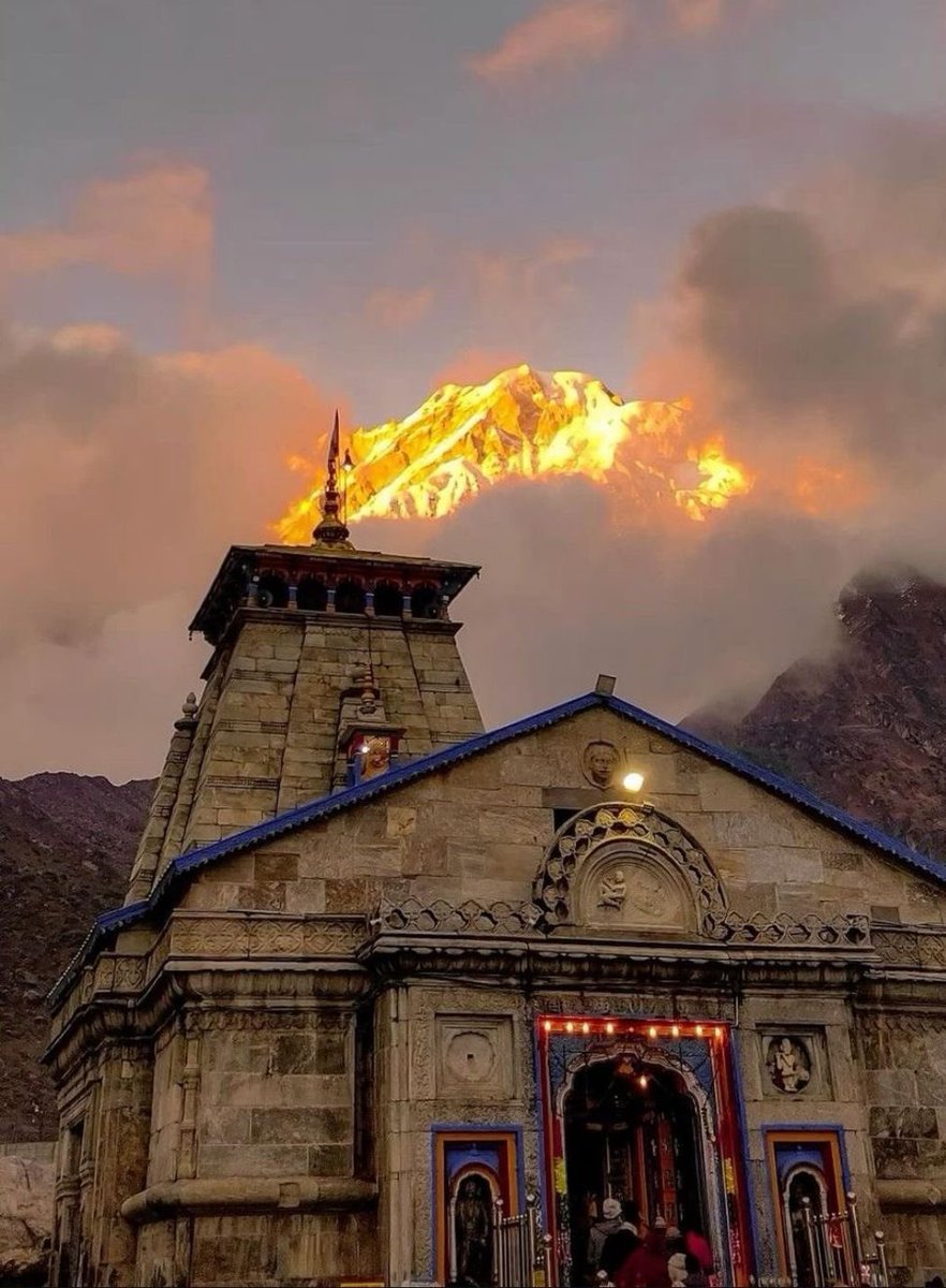 Rooted Soul tweet media