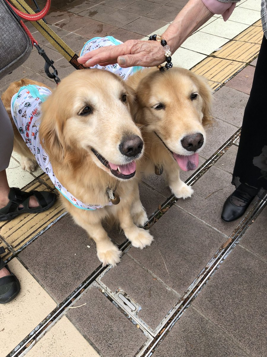 プレミアムビールとうまいもの祭り tweet media