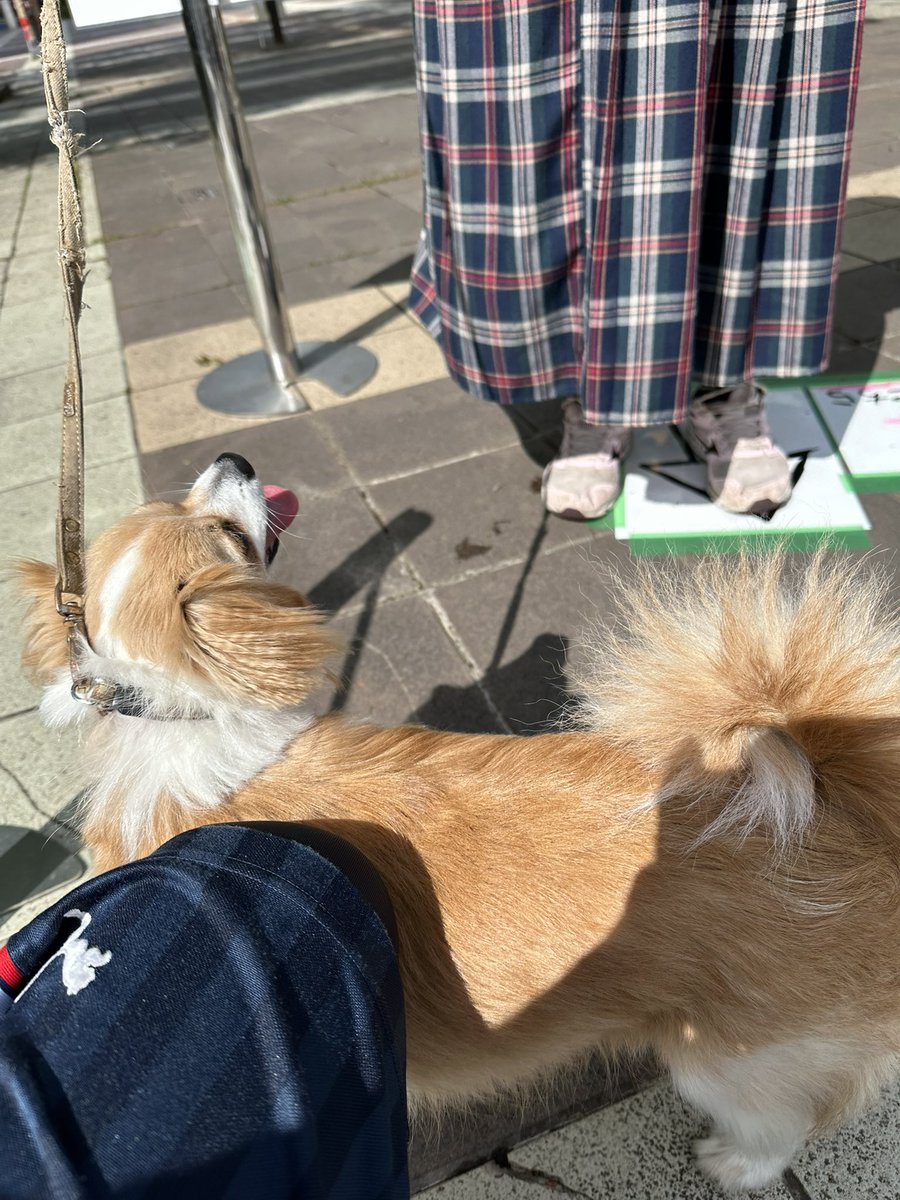 プレミアムビールとうまいもの祭り tweet media