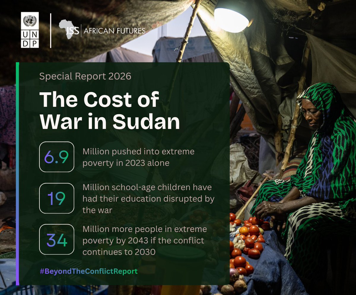 Shoko Noda tweet media