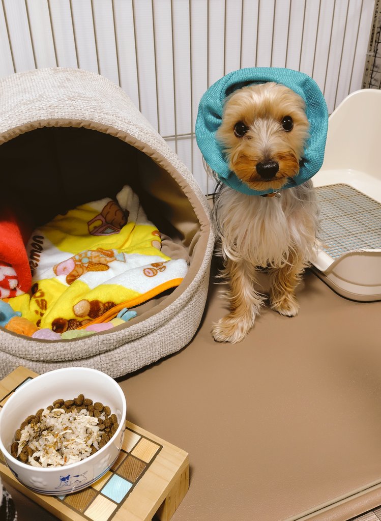 らむねっこ tweet media