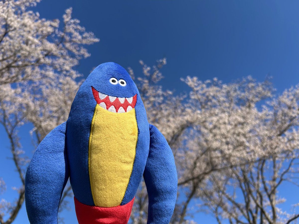 いとこのアレックス tweet media