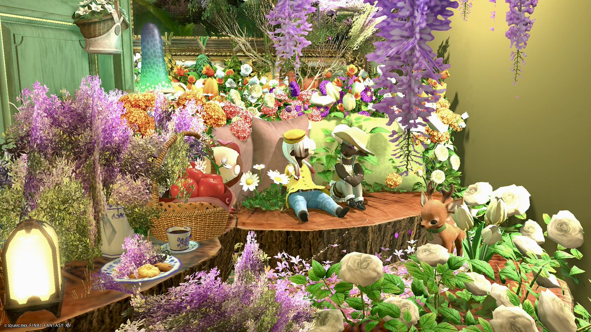 にゃごちゃん tweet media