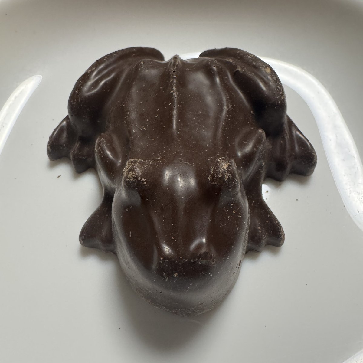 くーみー🦉💫 tweet media