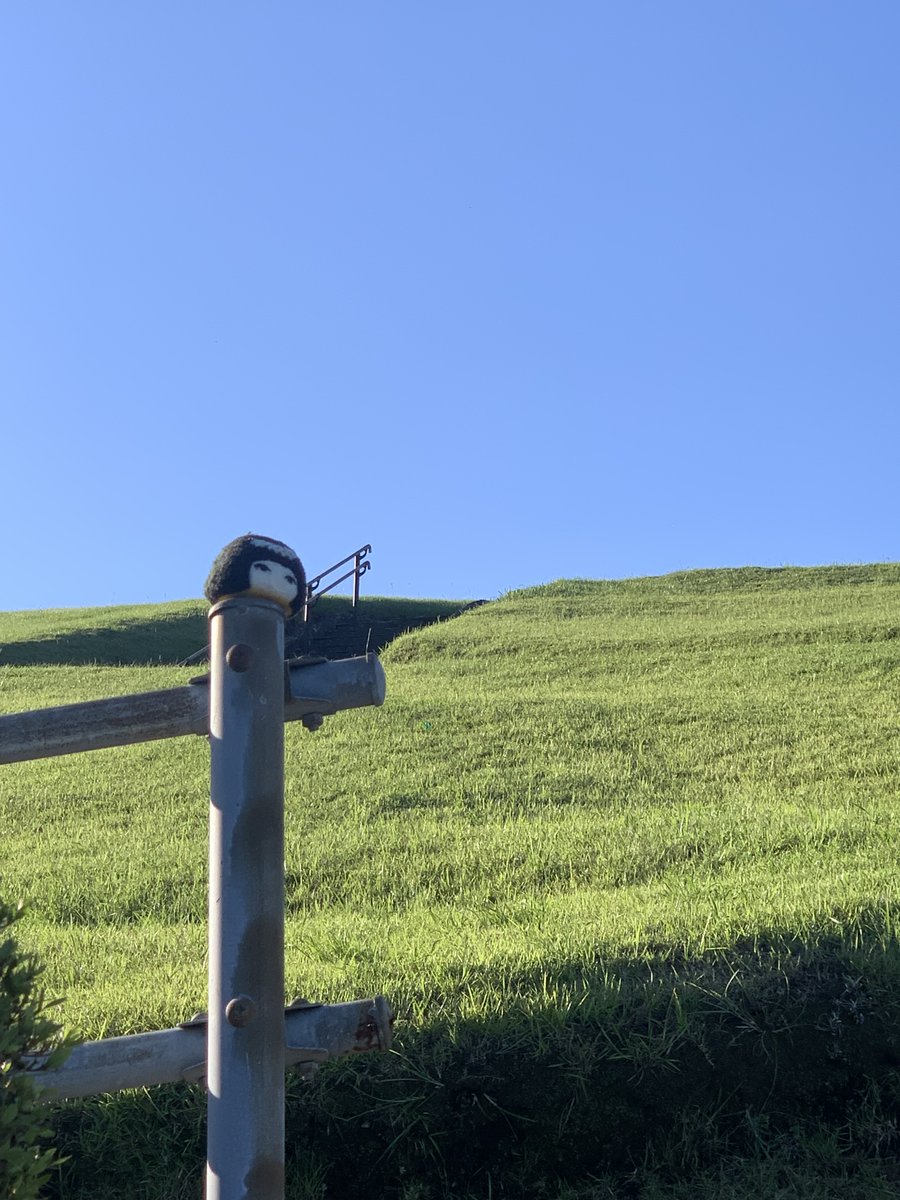 ざきおさん👀｜zakio-san tweet media