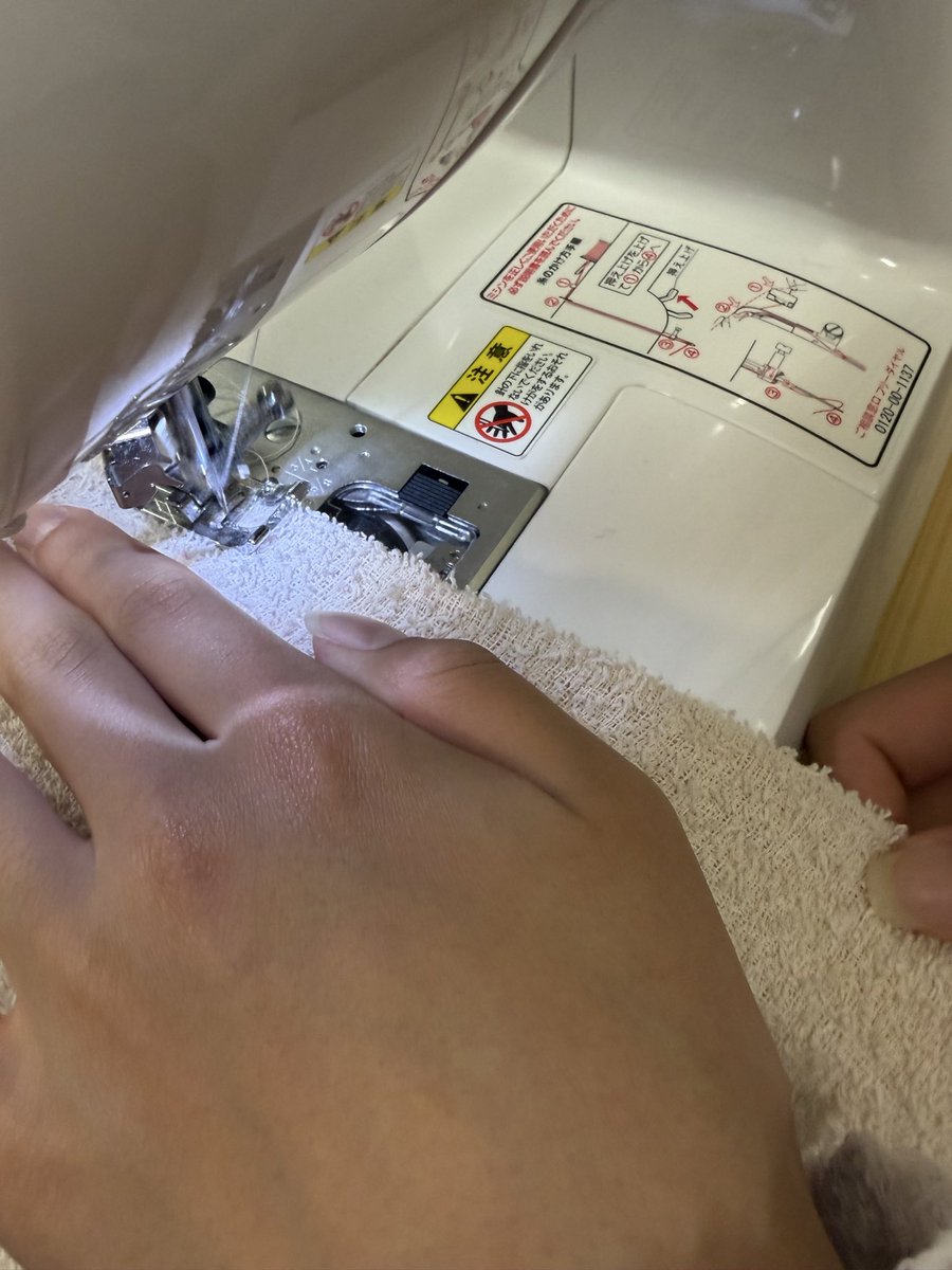 mieeのせかい🗺️ tweet media