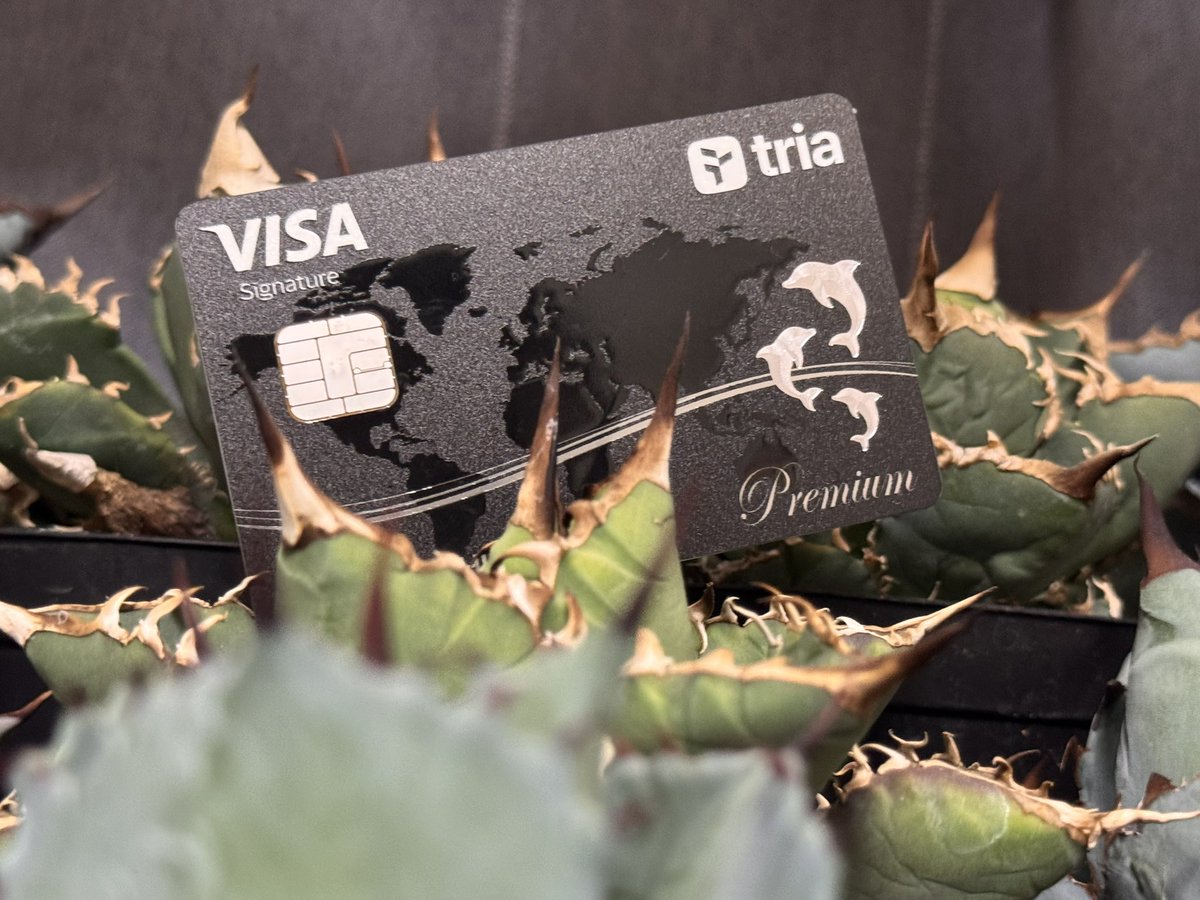 Nira💉🐺💚🍌 tweet media