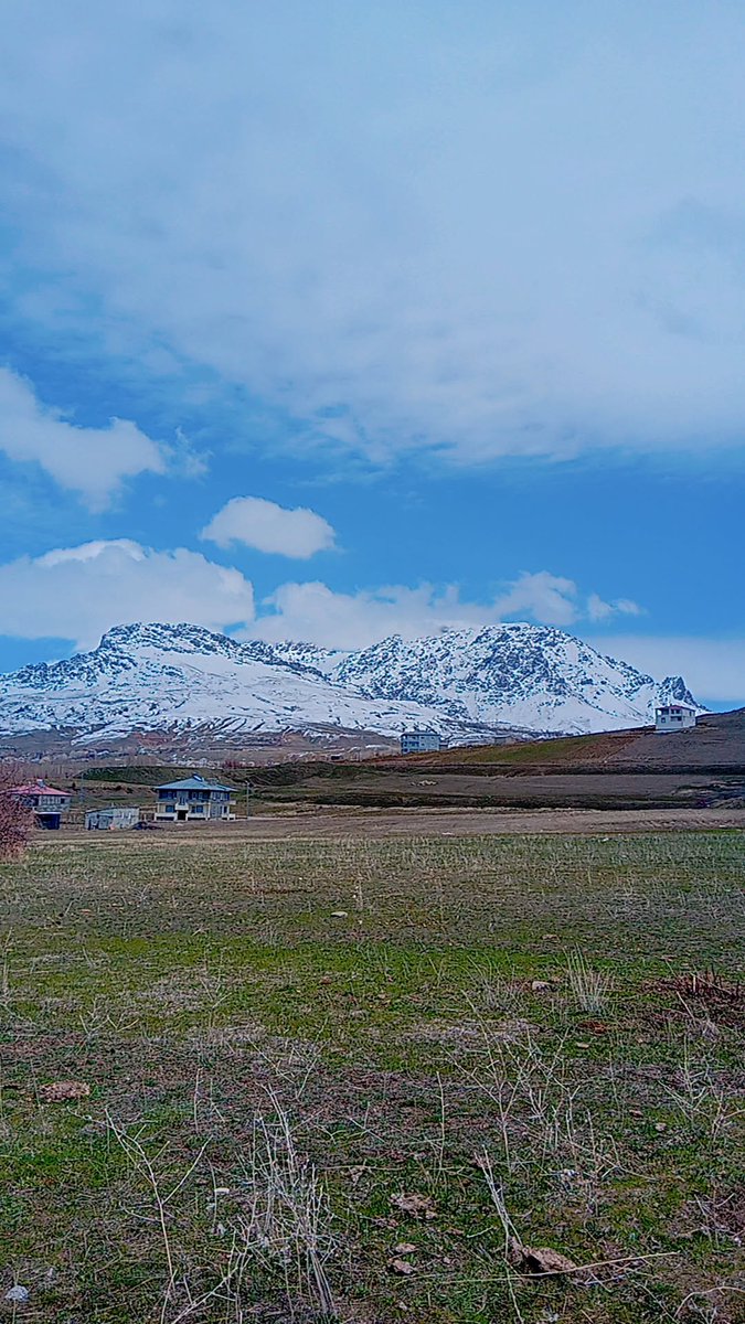 elifok65's tweet image. #Van