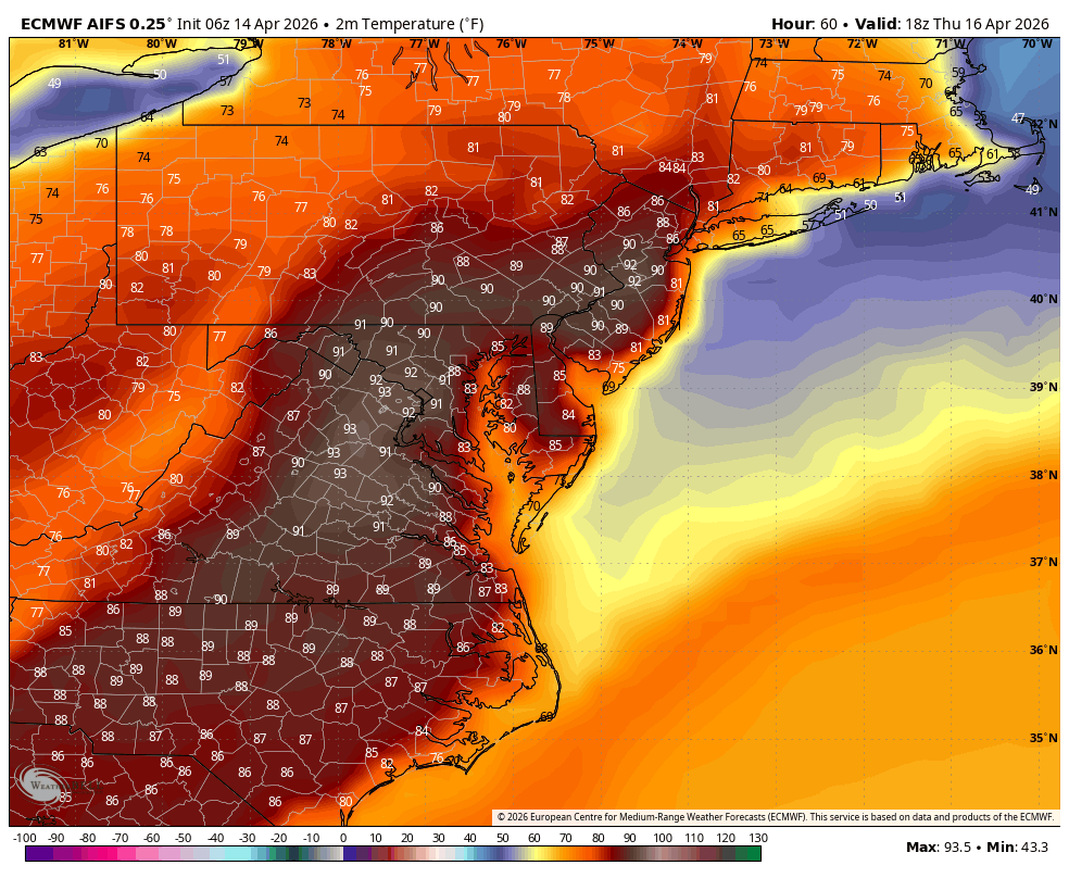 Tony Pann tweet media