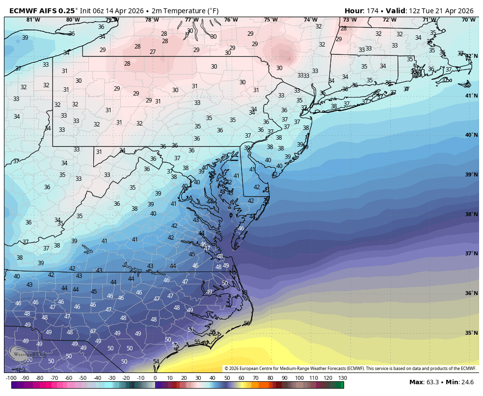 Tony Pann tweet media