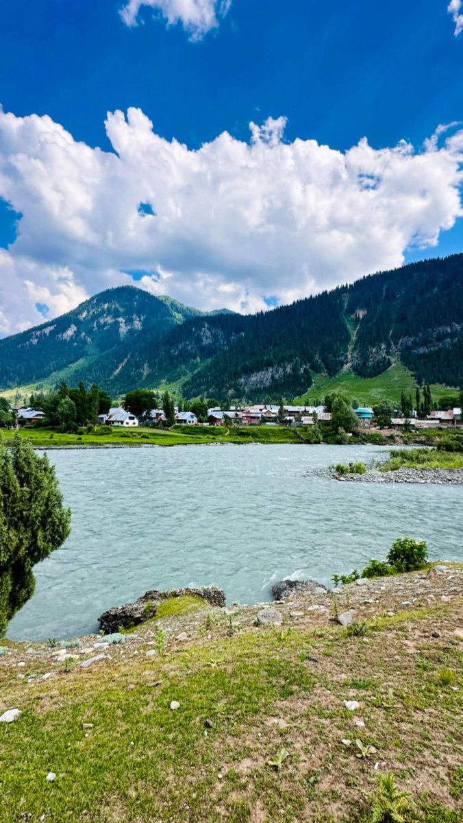 Meer Rayees tweet media