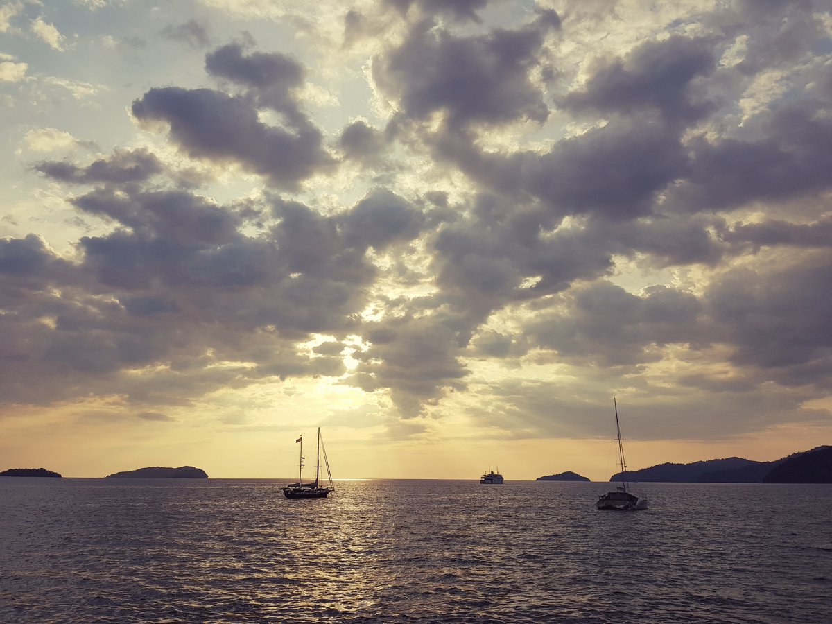 fighting2026 tweet media