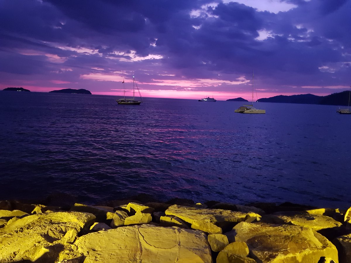 fighting2026 tweet media