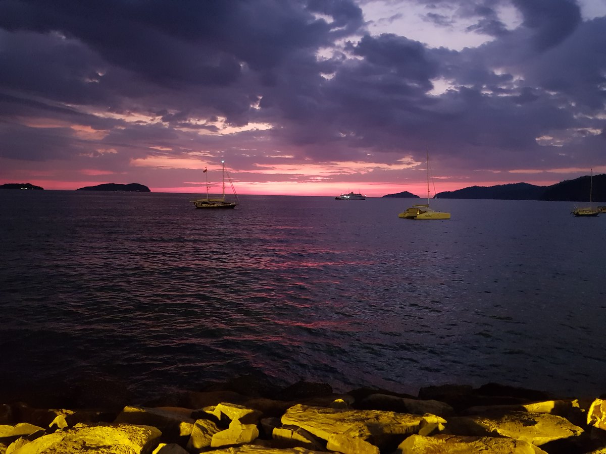 fighting2026 tweet media