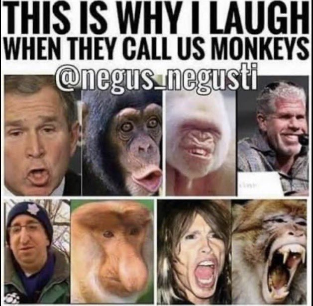 Iso Solo tweet media