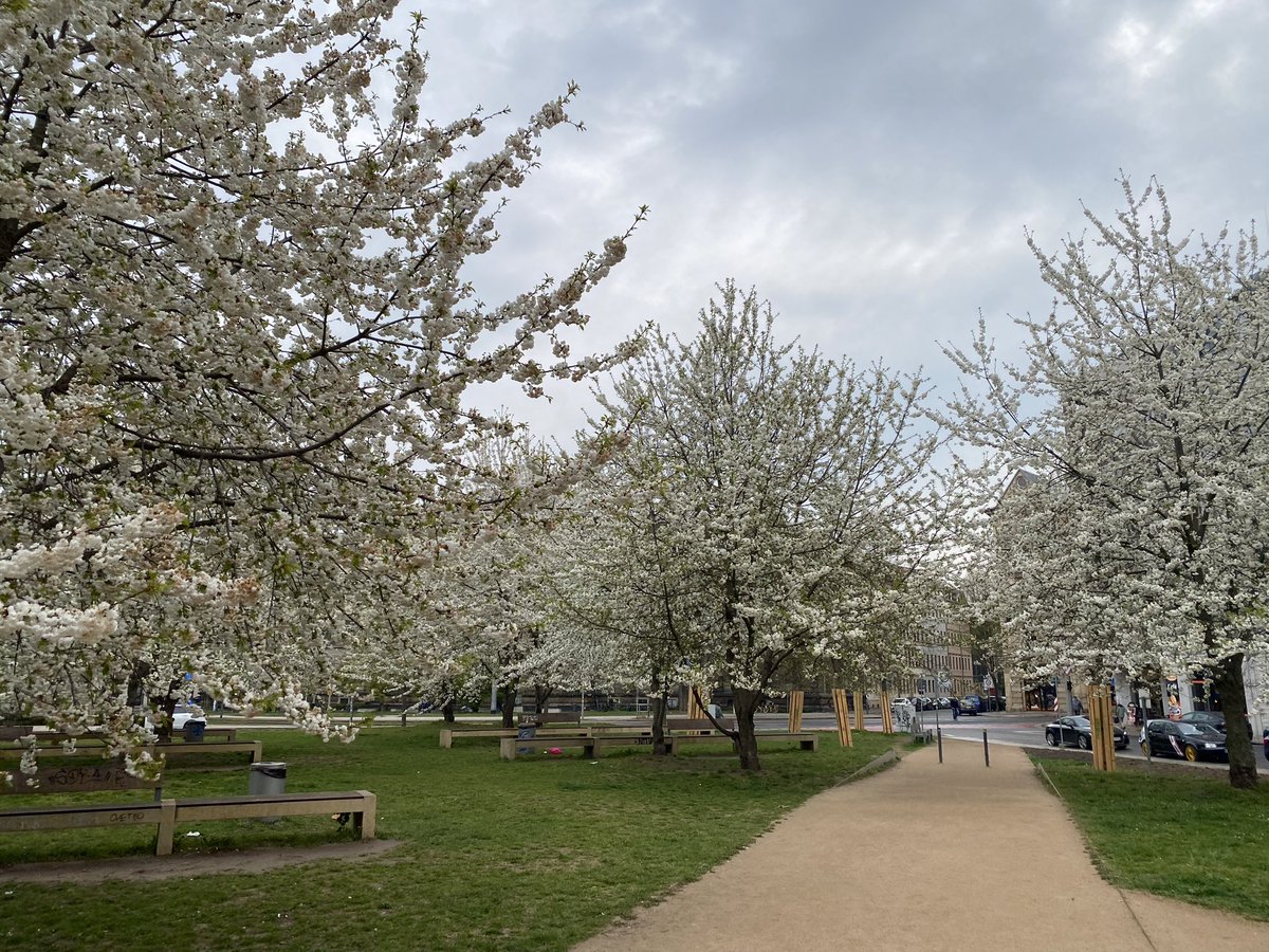 Hochtouren Dresden tweet media