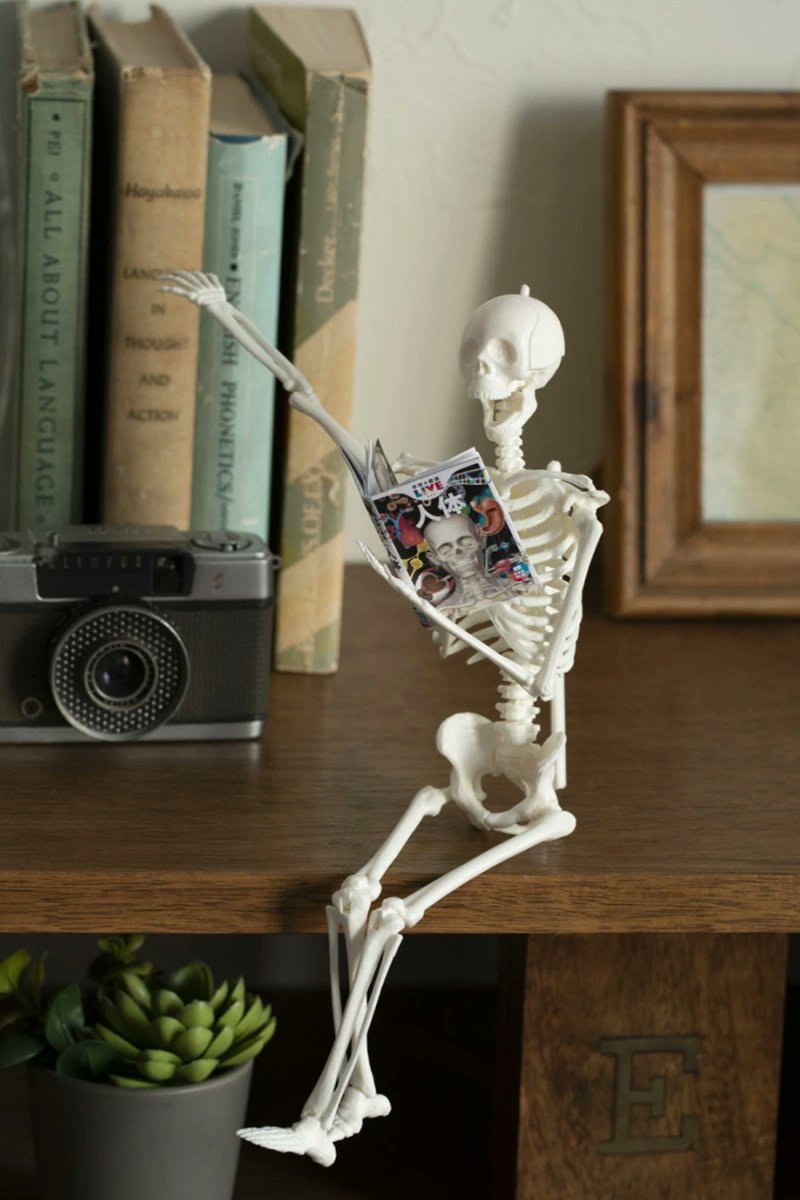 付録ネット 〈発売日カレンダー〉 tweet media