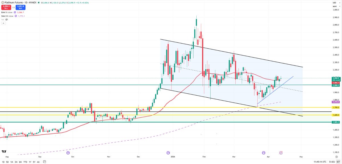 platinum bull 🇬🇧 tweet media