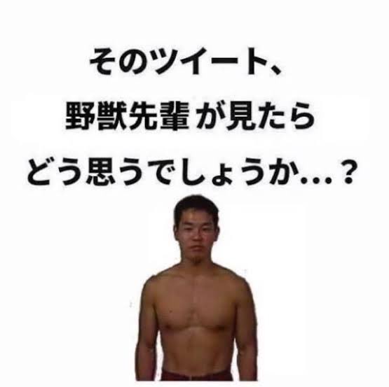りゅーは🦔 武道館②横アリ② tweet media