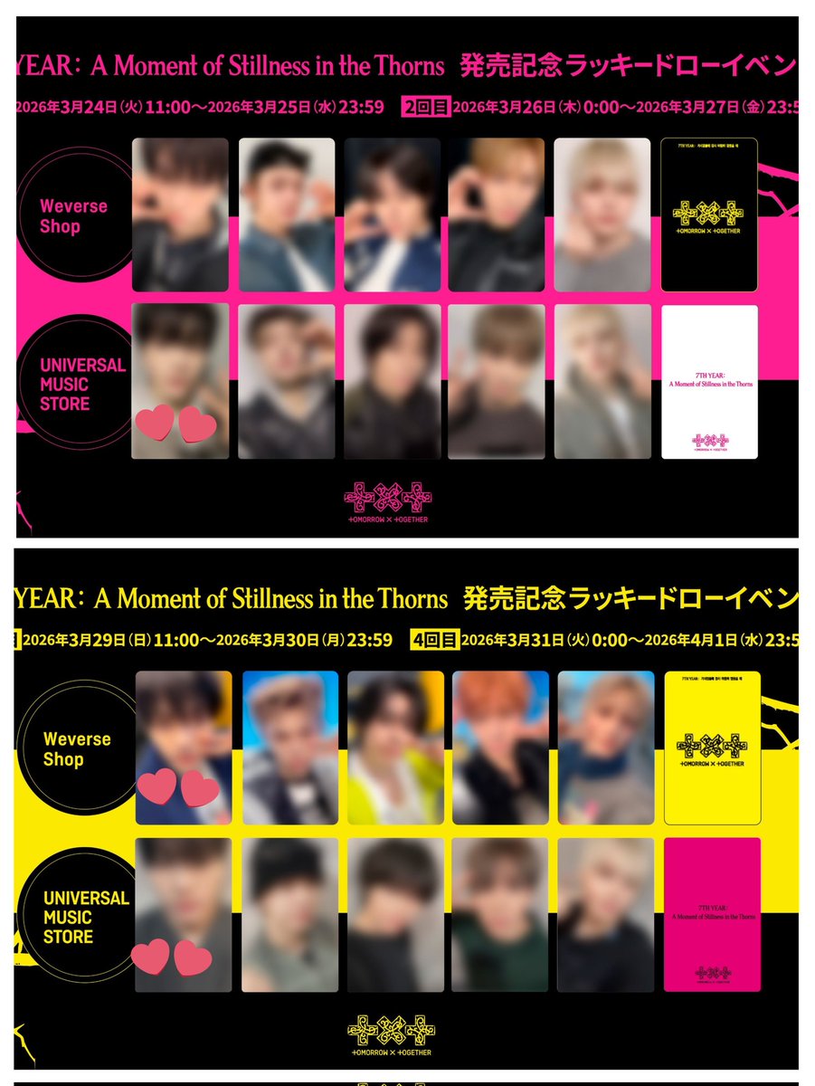 🌼maple🐰 tweet media